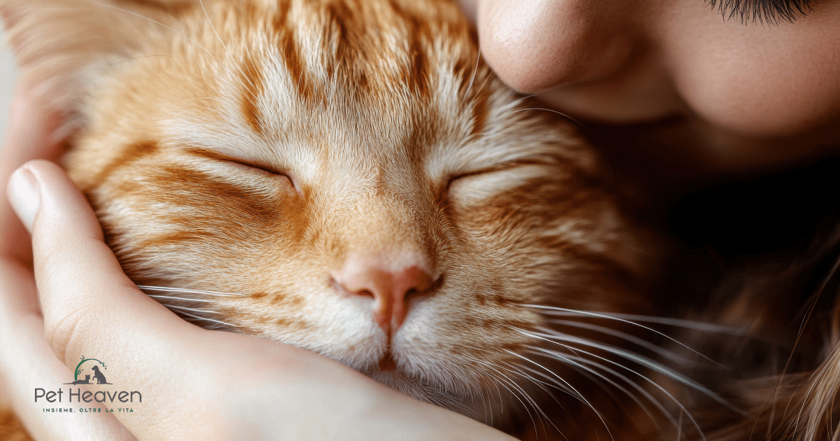 Scopri di più sull'articolo Come conservare il ricordo del tuo animale domestico mentre accogli un nuovo amico a quattro zampe